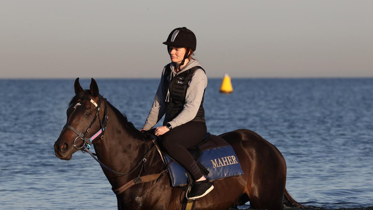 Gold Trip finished second in the 2022 Caulfield Cup before winning the Melbourne Cup 17 days later.