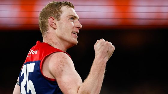 Harrison Petty, staying at Melbourne, Adelaide contract offer, wants to move, premiership window, Shane McAdam, analysis
