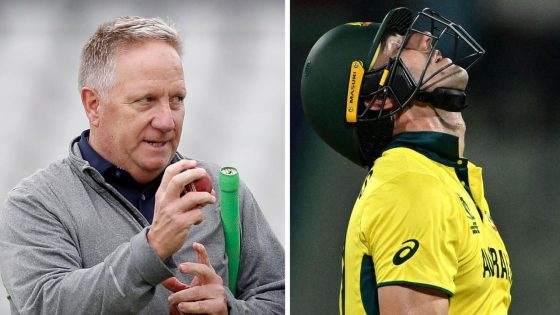 Ian Healy has some home truths for the Aussies. Photo: Getty Images