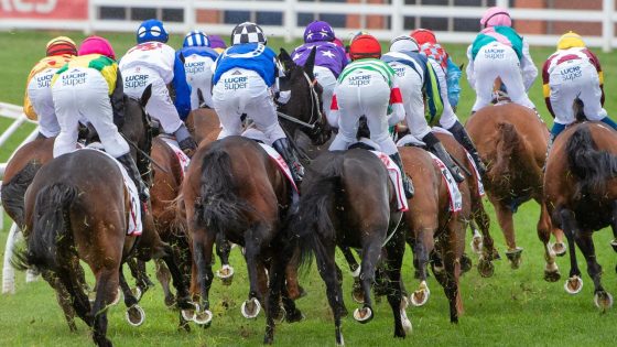 Ultimate Guide, betting, BlueBet, form, analysis, tips, horses, who will win the Caulfield Cup, news, highlights, videos