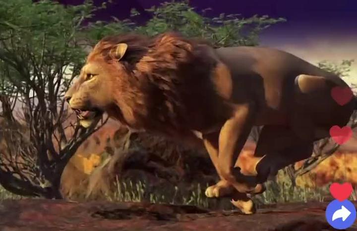 price of the lion on Tiktok