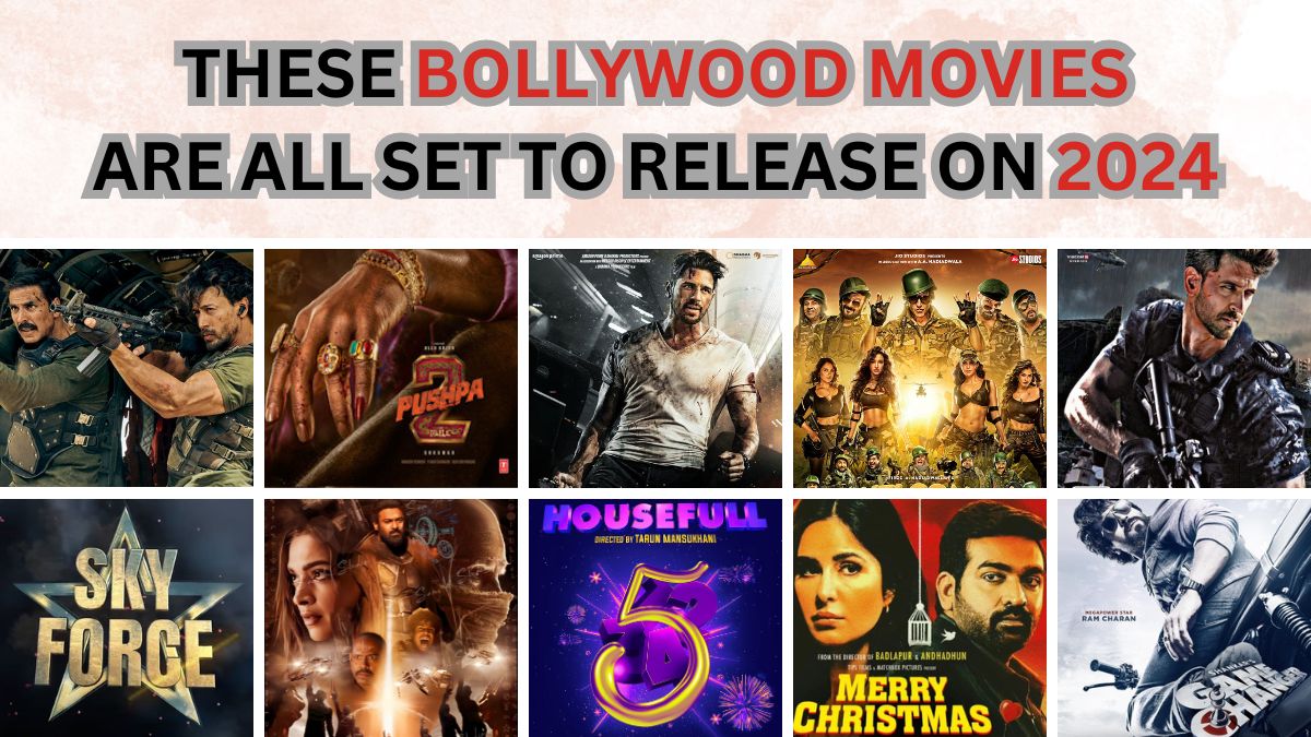 Bollywood's 2024 Lineup: Hindi Films to watch out for in 2024