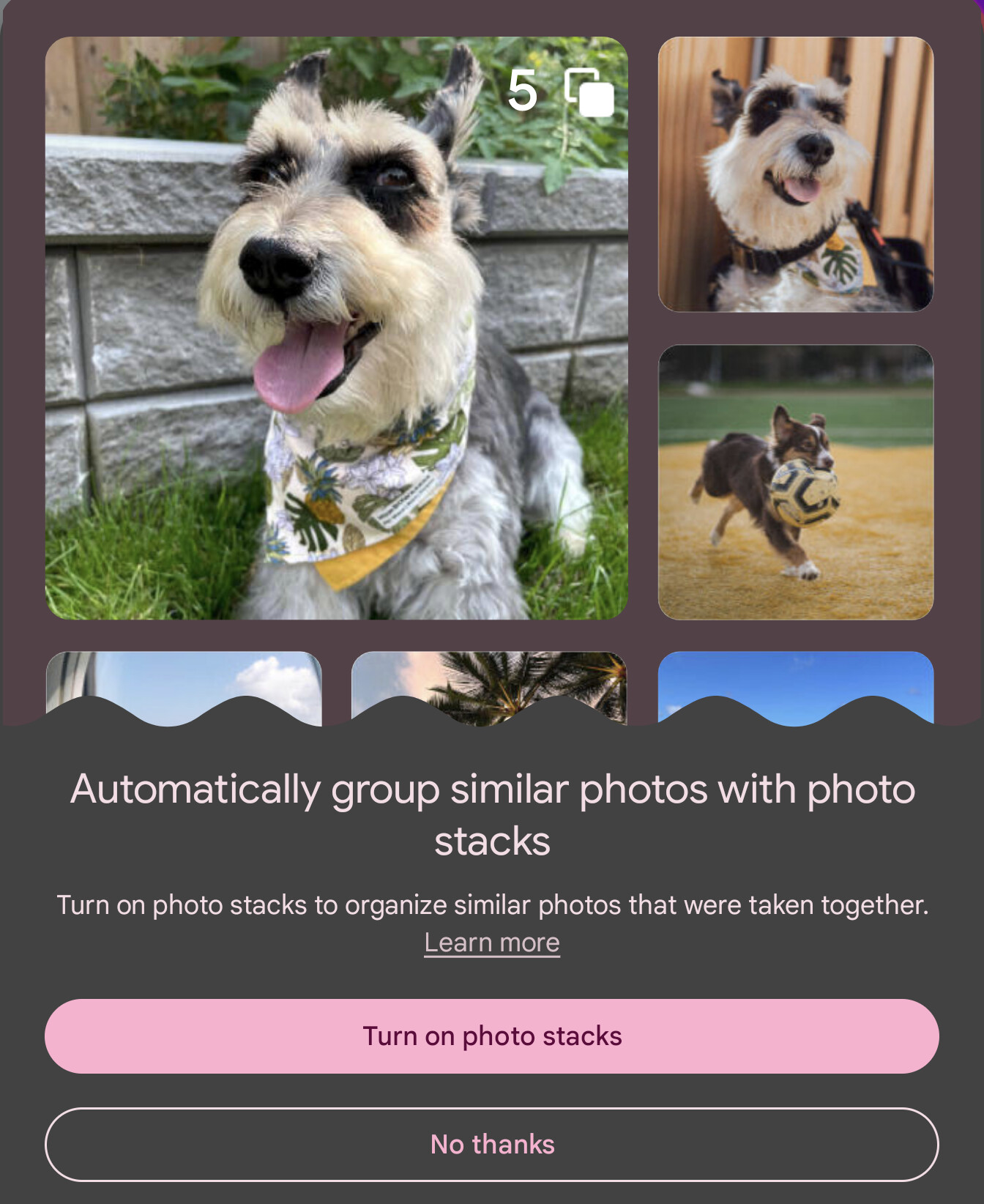 Image credit – alexandriaofwar – Newly leaked Photo Stack feature makes its way to Google Photos