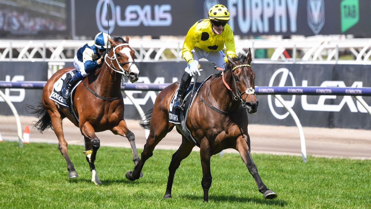 Without A Fight wins 2023 Melbourne Cup at Flemington