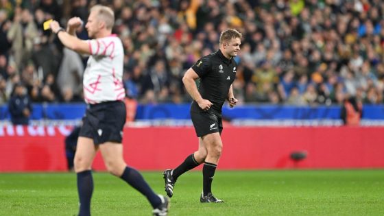 Rugby World Cup final TMO steps away due to online abuse