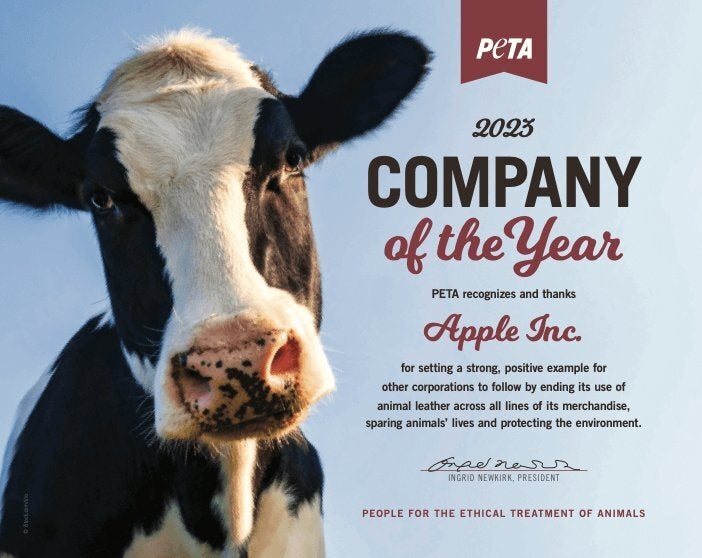 Image credit – PETA – Apple is named PETA Company of the Year for its decision to abandon leather in all its products