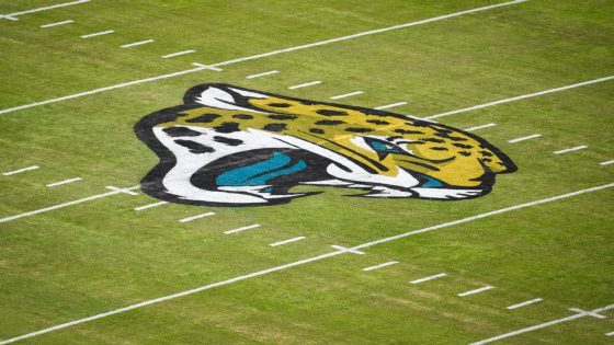 Ex-Jaguars employee pleads guilty to charges over team theft