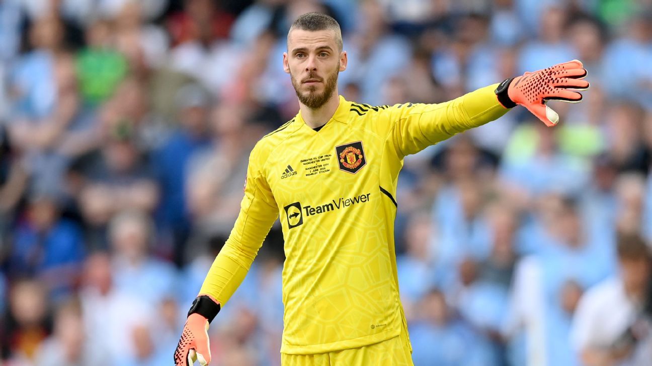 Ex-Man United GK De Gea open to Newcastle move - source