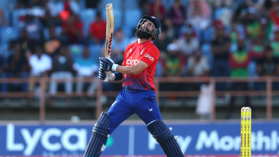 Moeen Ali: 'No excuses' as England's white-ball fortunes continue to slide