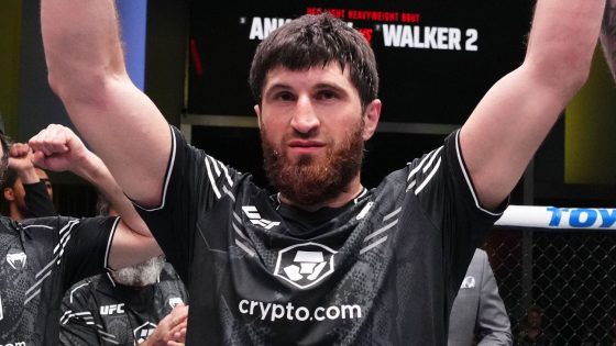 Magomed Ankalaev knocks out Johnny Walker in 2nd round of rematch
