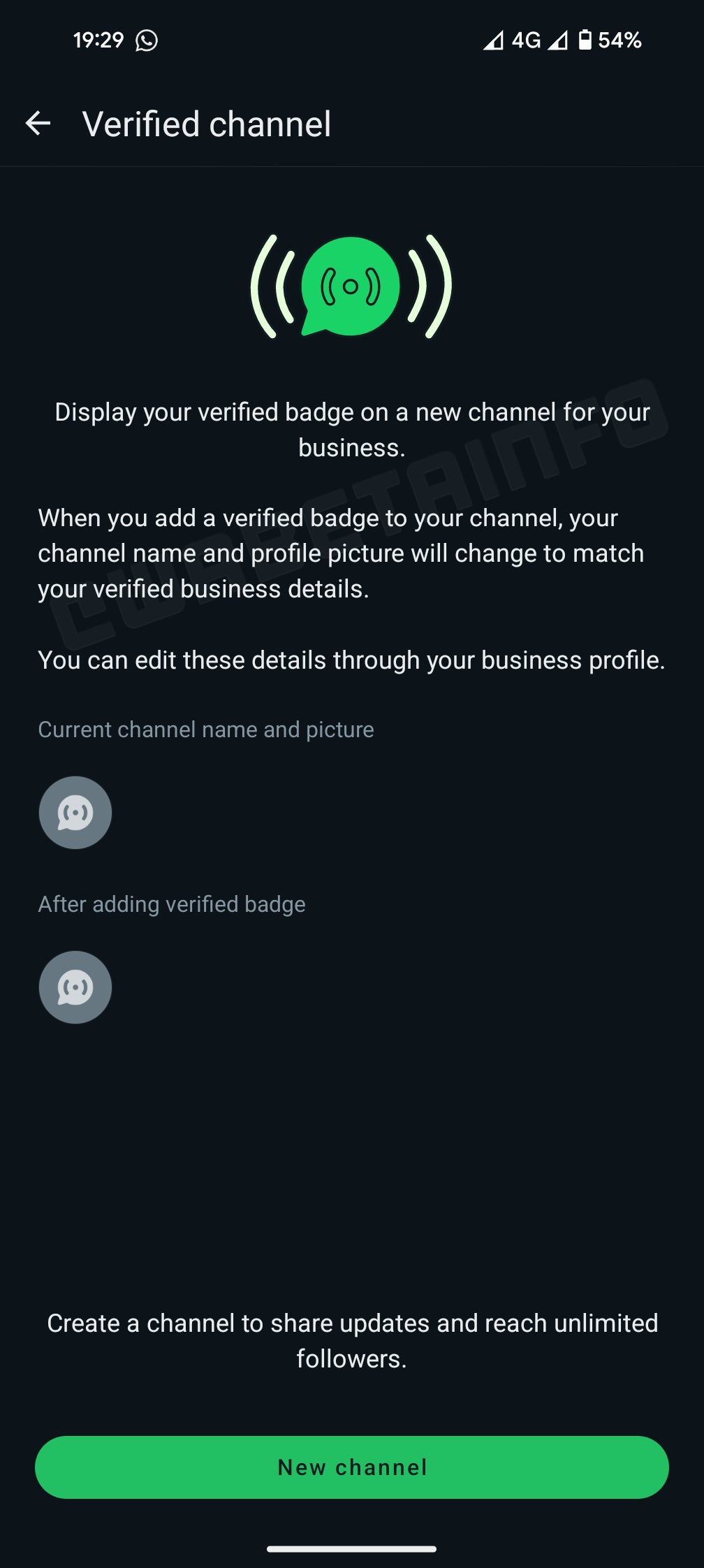 WhatsApp releases blue paint for business channels and verified badges
