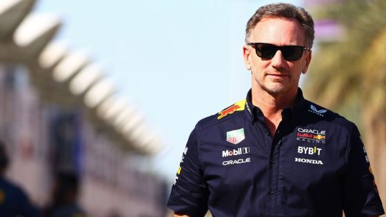 Red Bull boss Horner wants probe over 'as soon as possible'