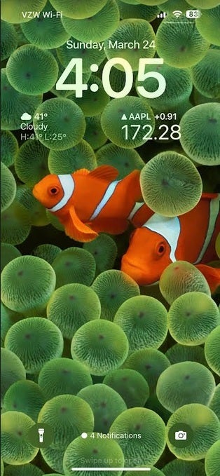 Nostalgic clownfish wallpaper is part of this customizable lock screen - Report says a "more customizable" The Home Screen comes to iPhone with iOS 18